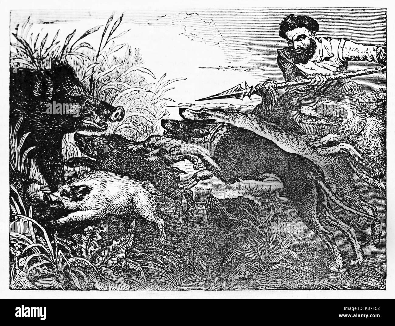 Medieval hunter holding a spear and his dogs against a boar hiding in a bush with his puppies. Old Illustration by unidentified author published on Magasin Pittoresque Paris 1834 Stock Photo
