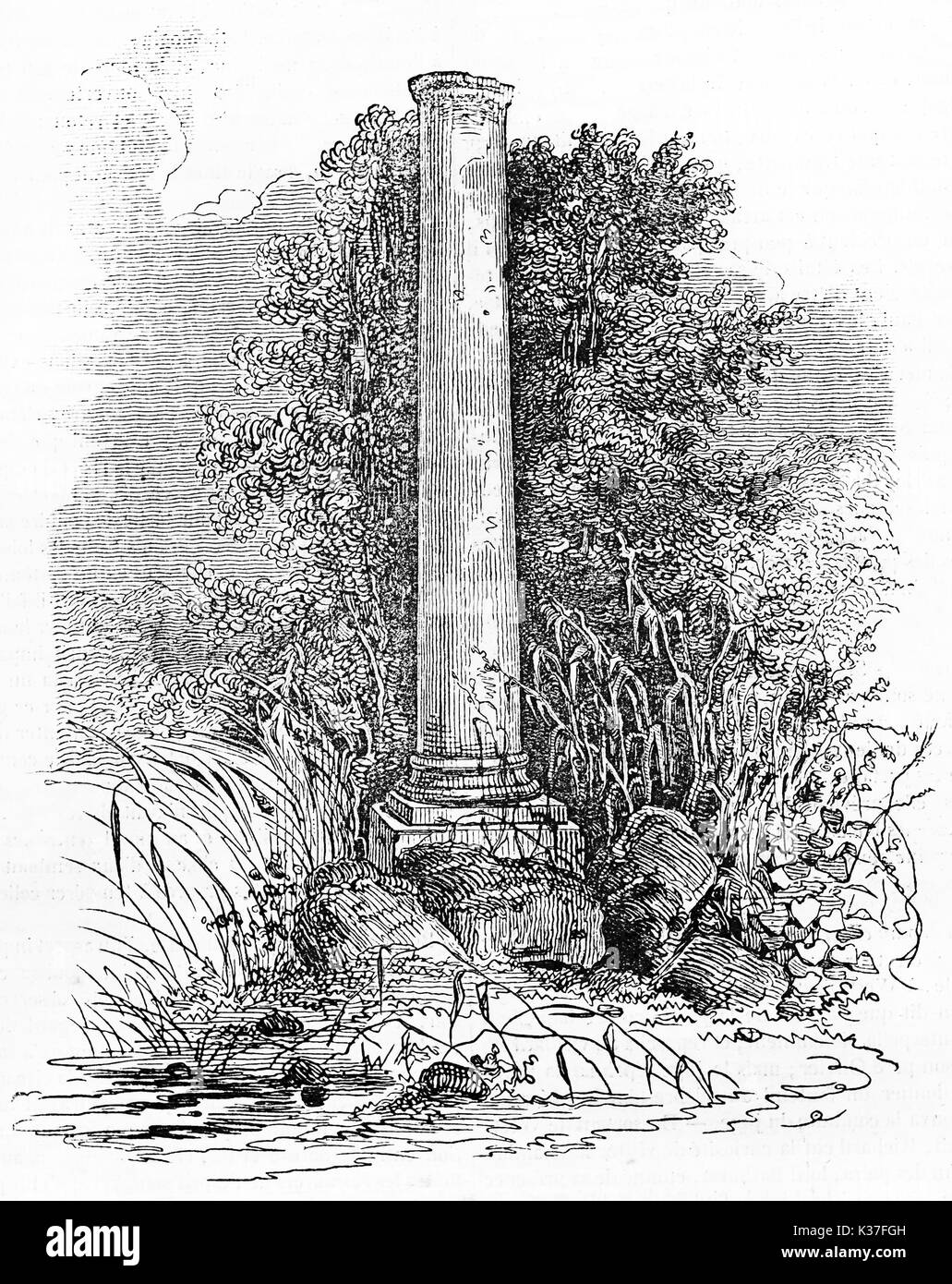 Ancient stone column surrounded by vegetation and weeds, funerary monument of Daubenton in Jardin des Plantes Paris. Old Illustration by Chevalier published on Magasin Pittoresque Paris 1834 Stock Photo