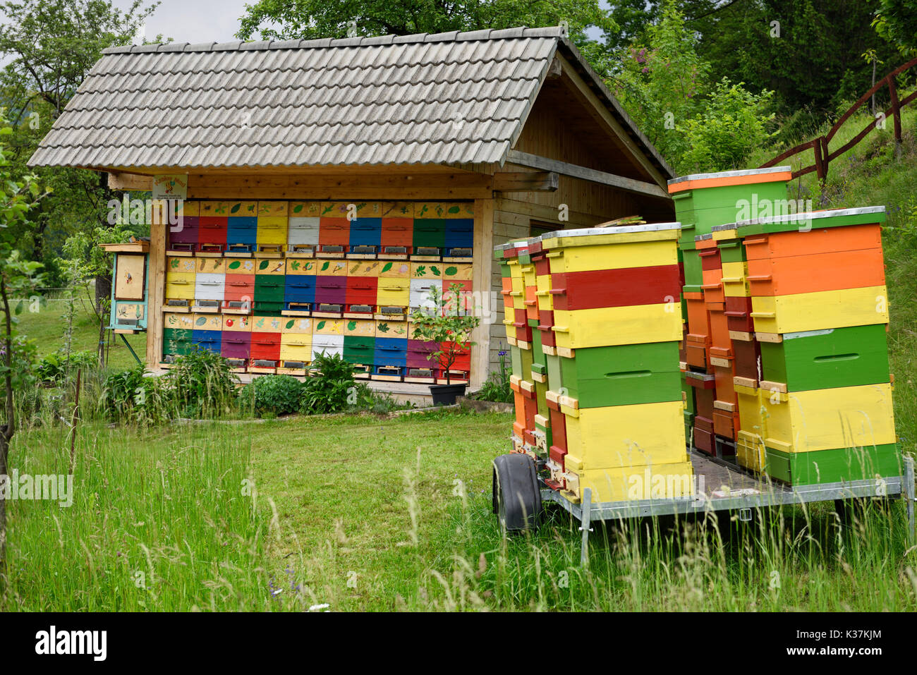 Colorful traditionally painted apiary beehive house and boxes at Kralov Med in Selo near Bled Slovenia in Spring Stock Photo