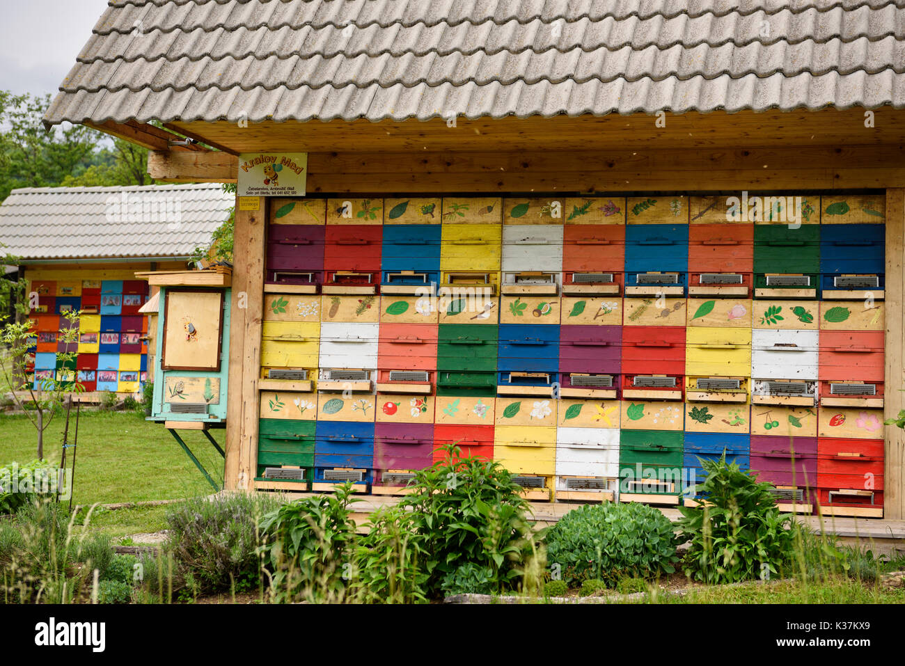 Colorful traditionally painted apiary beehive houses at Kralov Med in Selo near Bled Slovenia with Spring garden Stock Photo