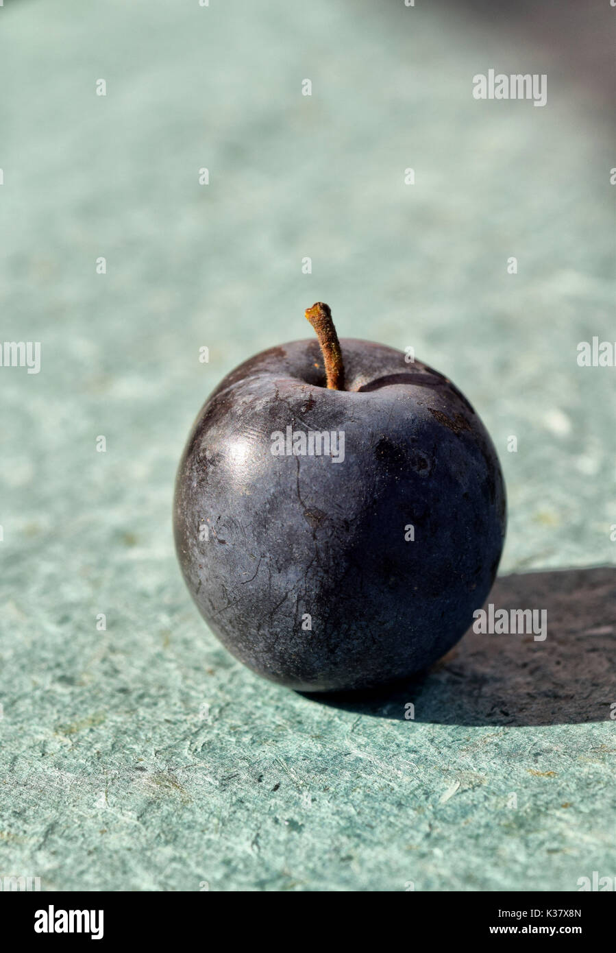 Still life of plums Stock Photo Alamy