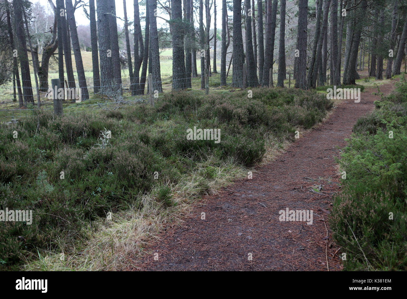 Speyside way - Long distance walking trail - Speyside - Highlands -  Scotland - UK Stock Photo - Alamy