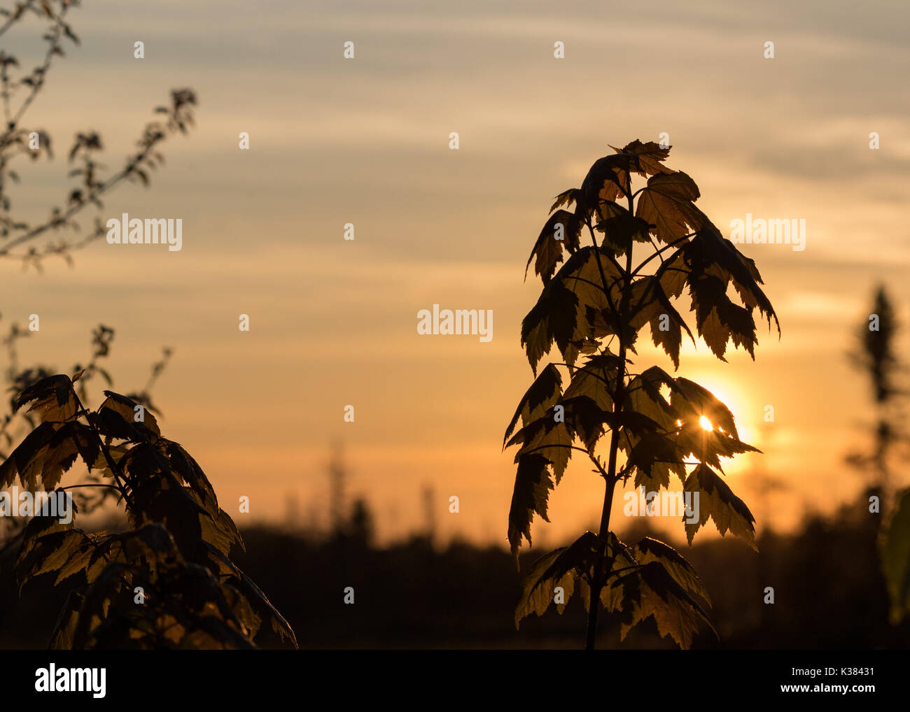 Awesome sunset hi-res stock photography and images - Alamy