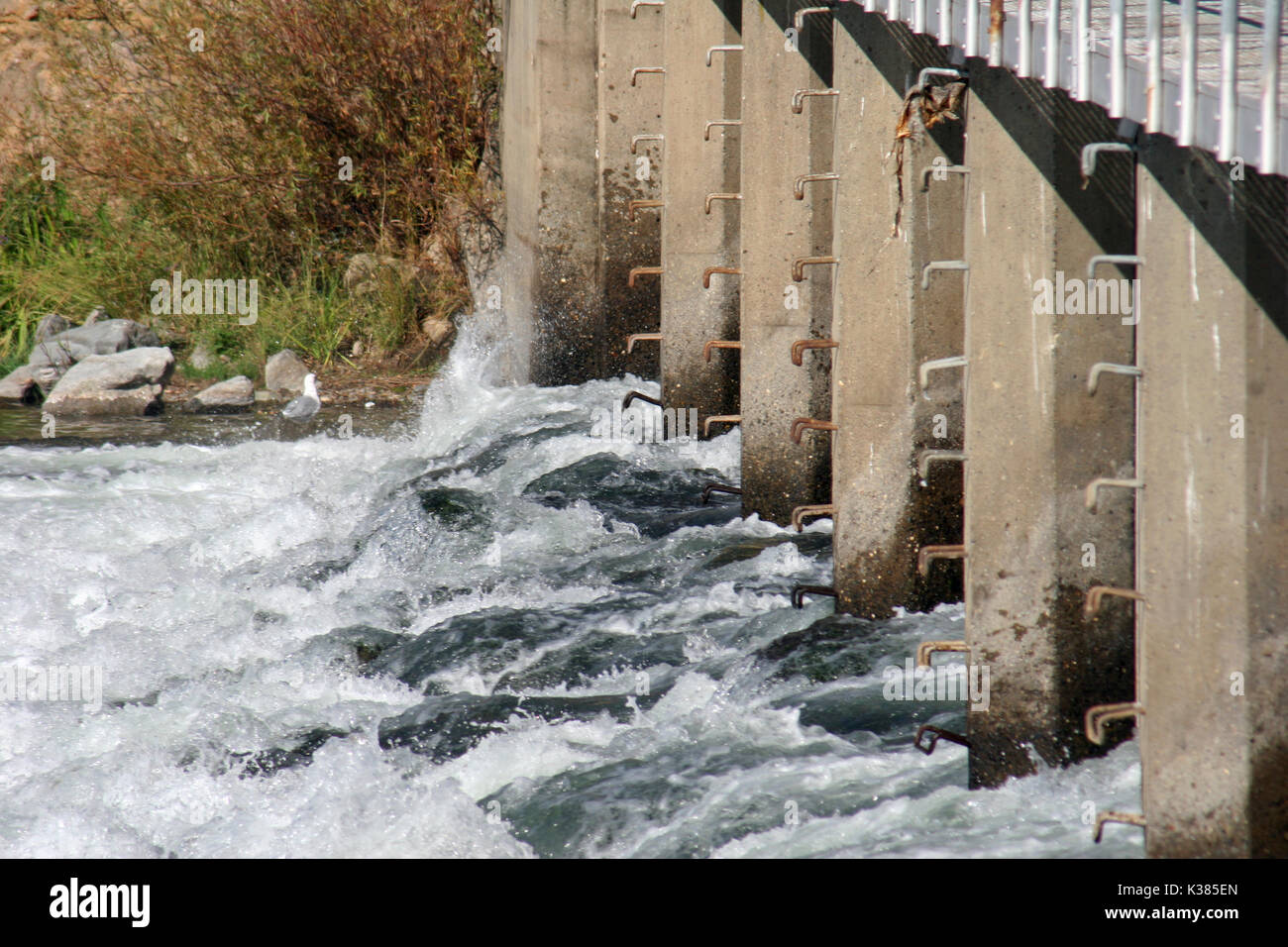 AMERICAN RIVER RAPIDS AT THE NIMBUS FISH HATCHERY'S WEIR, SACRAMENTO