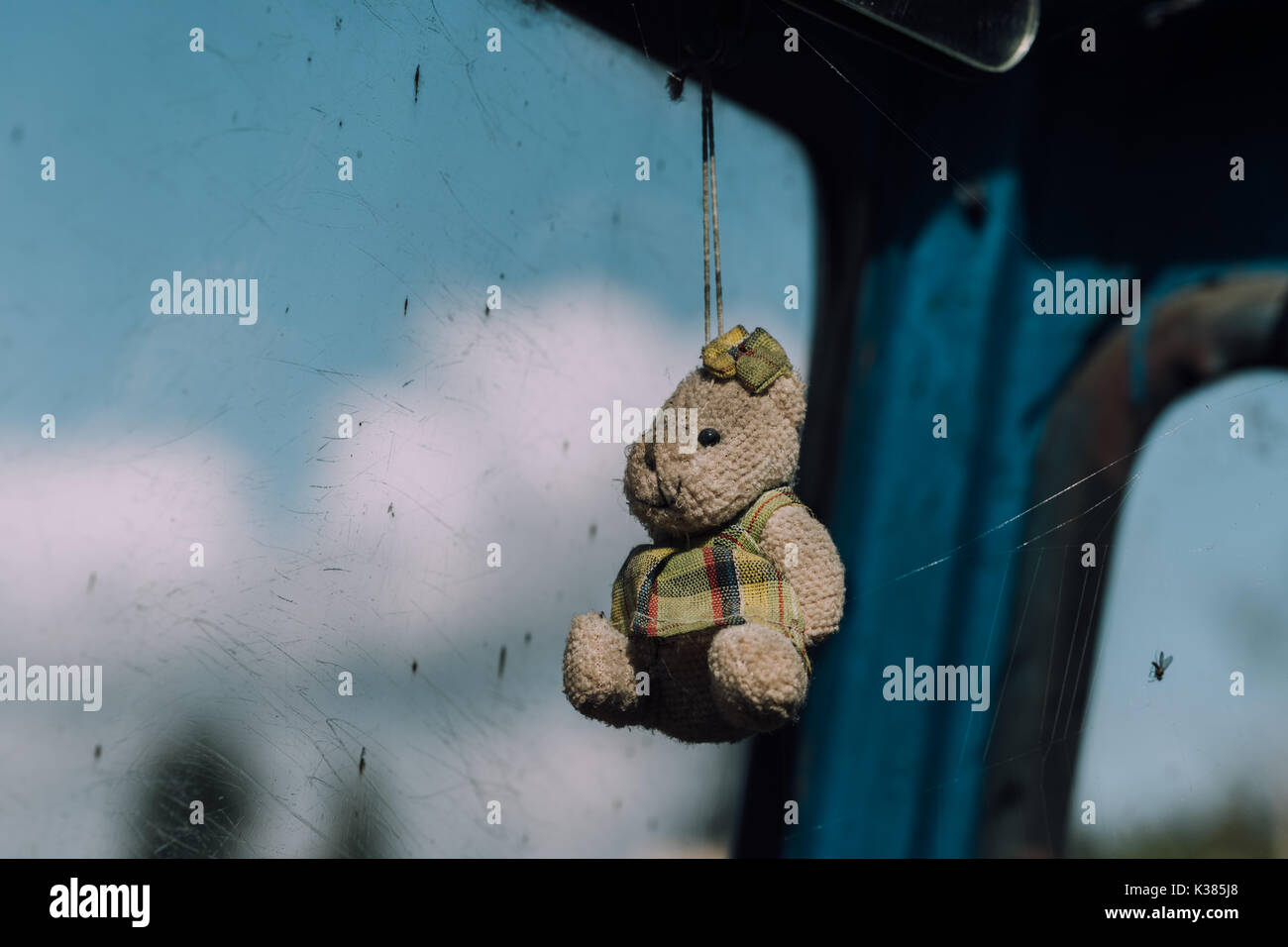 Old dusty toy hanging in the car. Stock Photo