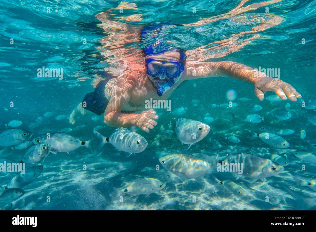 Young man snorkeling in underwater coral reef on tropical island. Stock Photo