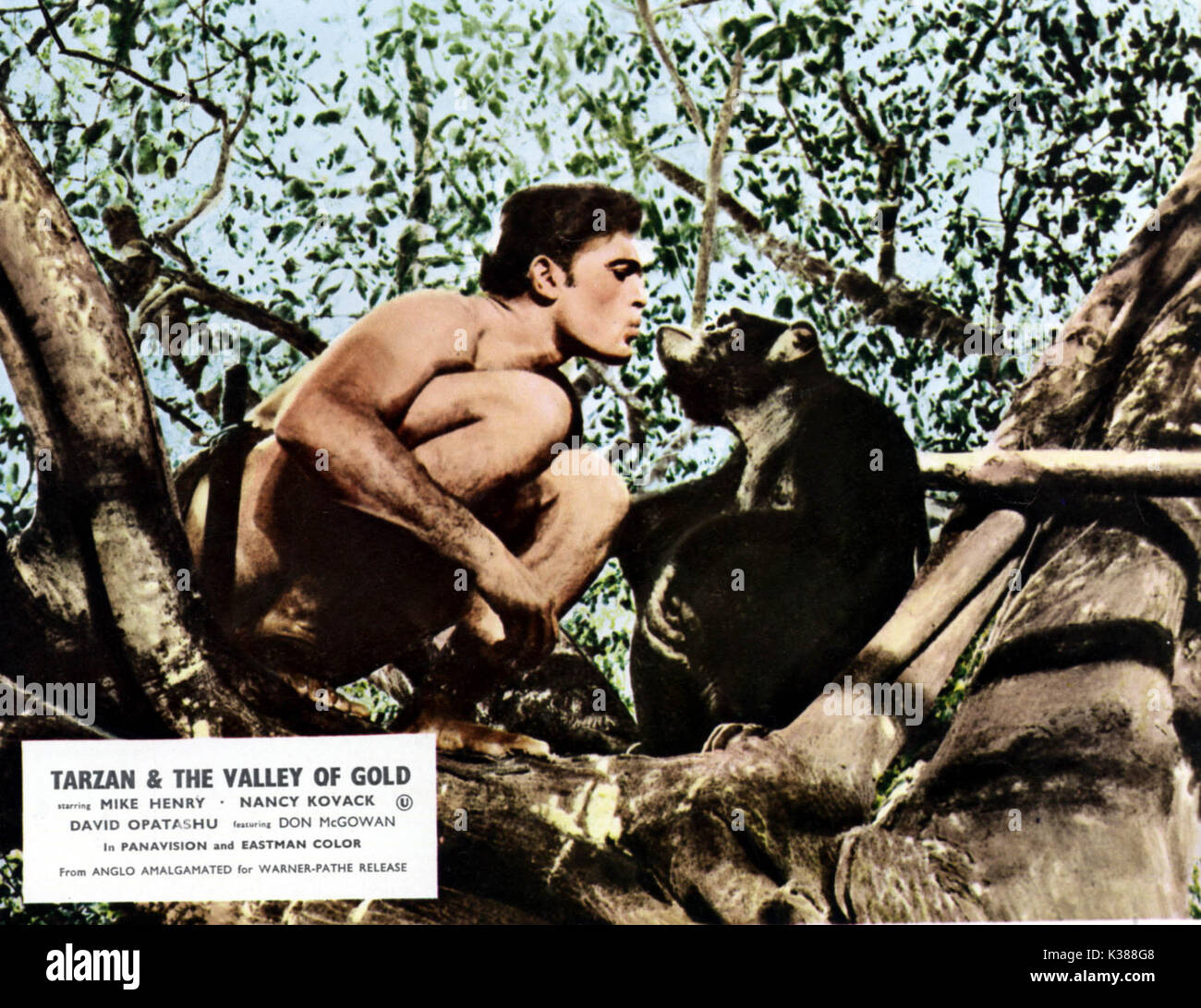 TARZAN AND THE VALLEY OF GOLD  MIKE HENRY     Date: 1966 Stock Photo