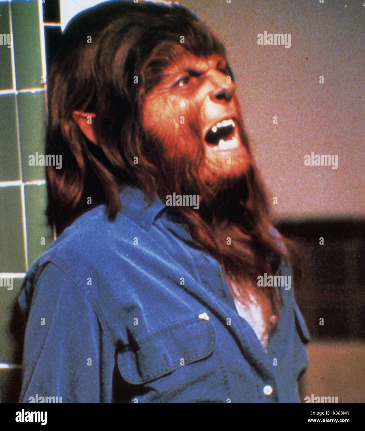 TEEN WOLF MICHAEL J FOX A WARNER COLUMBIA FILM     Date: 1985 Stock Photo