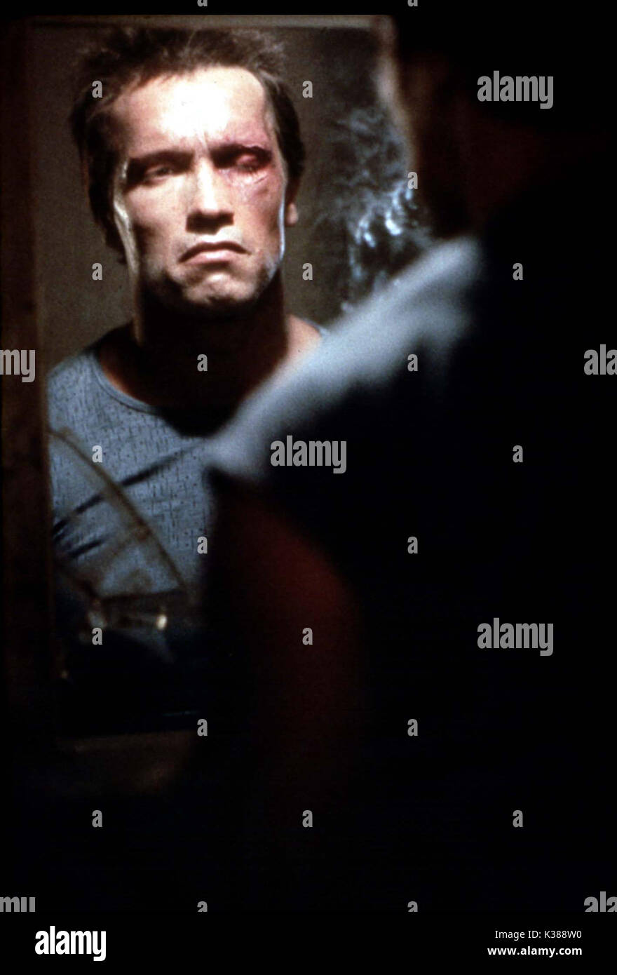 THE TERMINATOR ARNOLD SCHWARZENEGGER Date: 1984 Stock Photo - Alamy