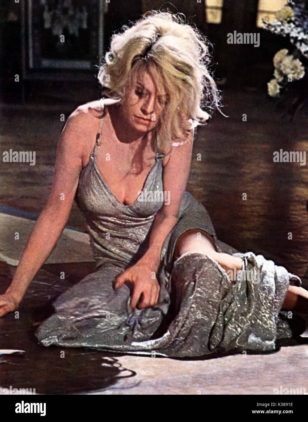 Eng tola mushuklarning porno suratlari Osiyo mushukiga azo