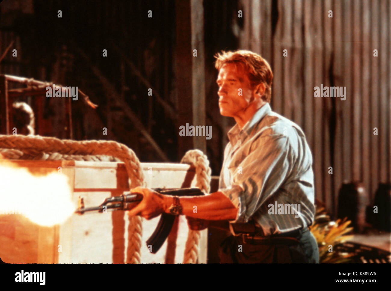 ARNOLD SCHWARZENEGGER TOM ARNOLD TRUE LIES 1994 Stock Photo Alamy