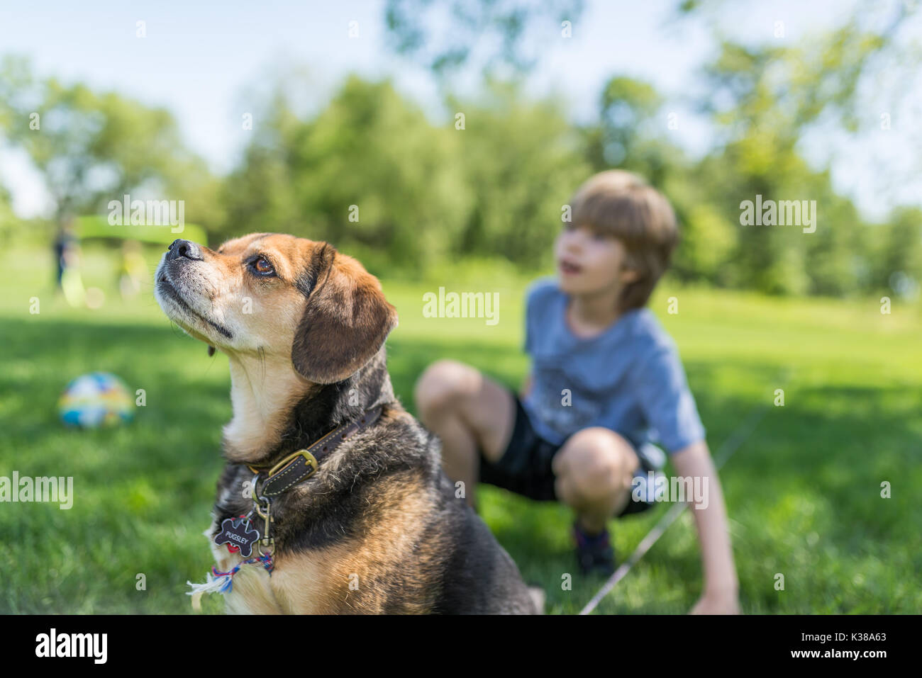 Boy and his dog Stock Photo