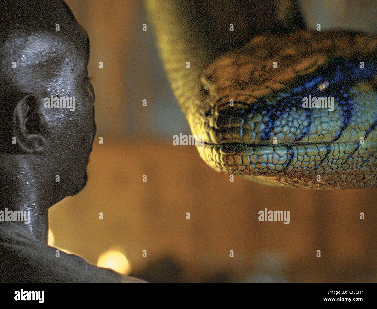 Anacondas the hunt for the blood orchid hires stock photography and