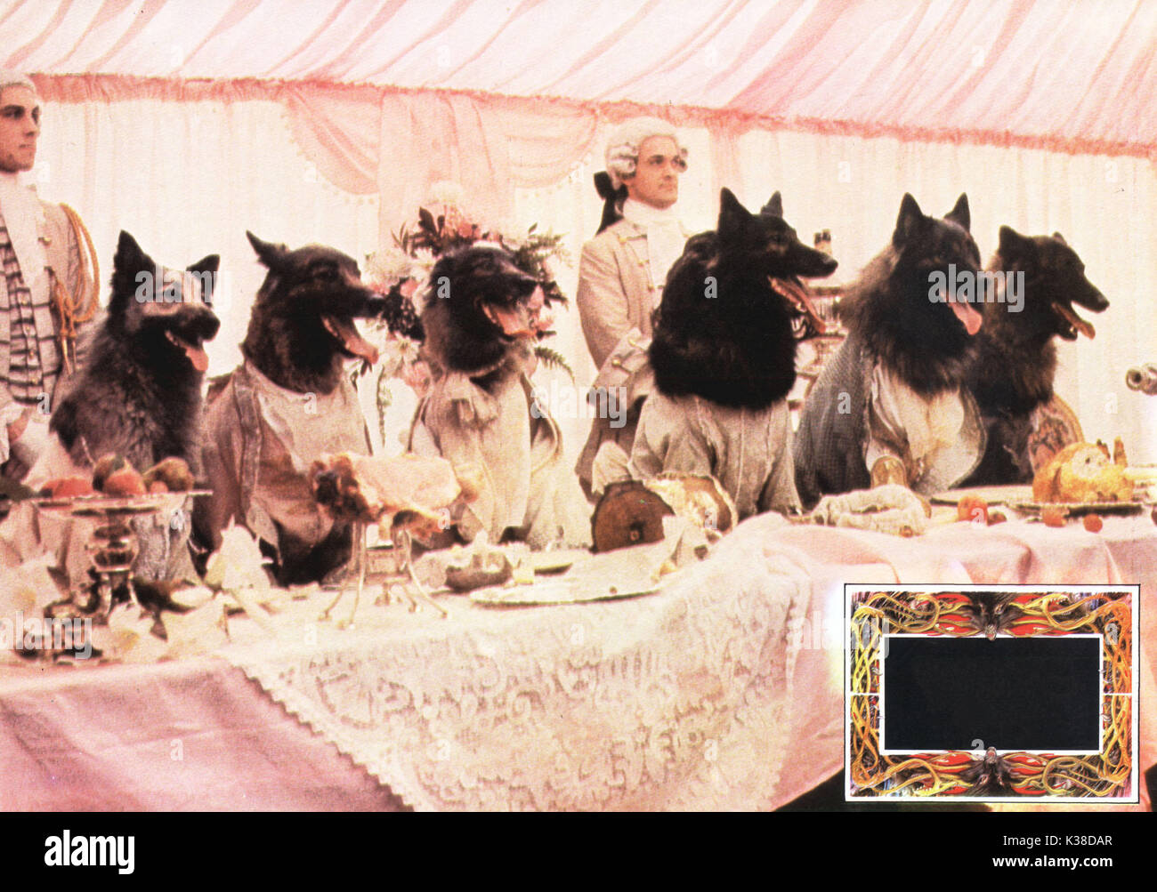 THE COMPANY OF WOLVES DIRECTOR: NEIL JORDAN WRITERS: NEIL JORDAN AND ANGELA CARTER CANNON FILMS PICTURE FROM THE RONALD GRANT ARCHIVE THE COMPANY OF WOLVES ...