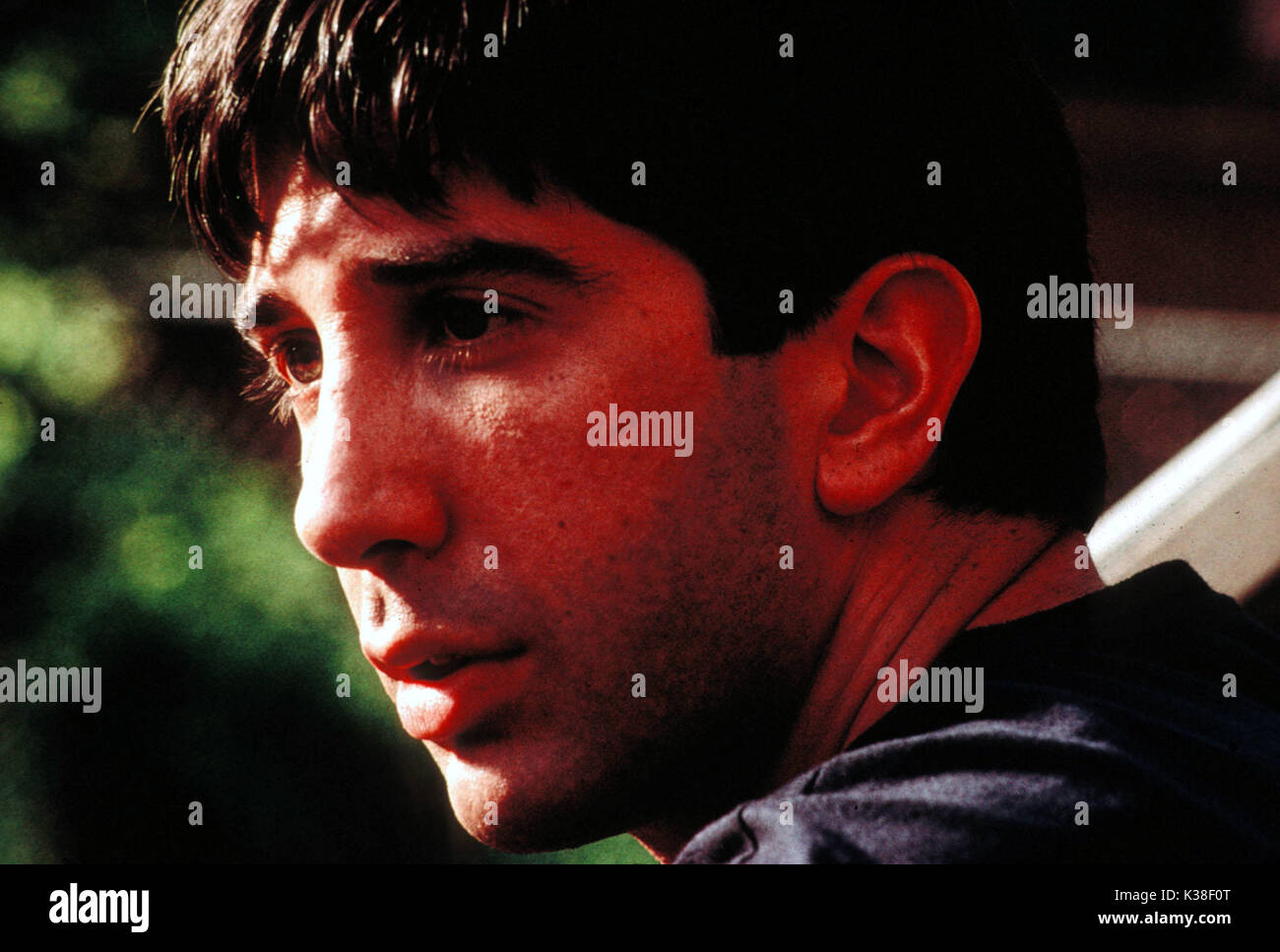 THE PALLBEARER DAVID SCHWIMMER RELEASE BY MIRAMAX FILMS   THE PALLBEARER DAVID SCHWIMMER     Date: 1996 Stock Photo