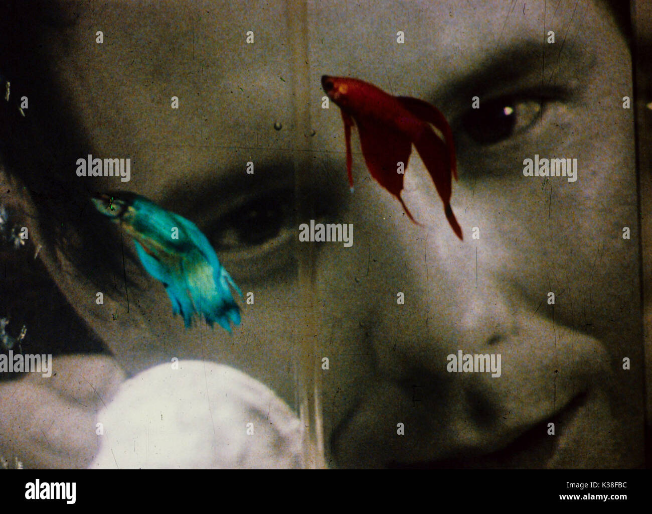 Rumble Fish Movie Mickey Rourke