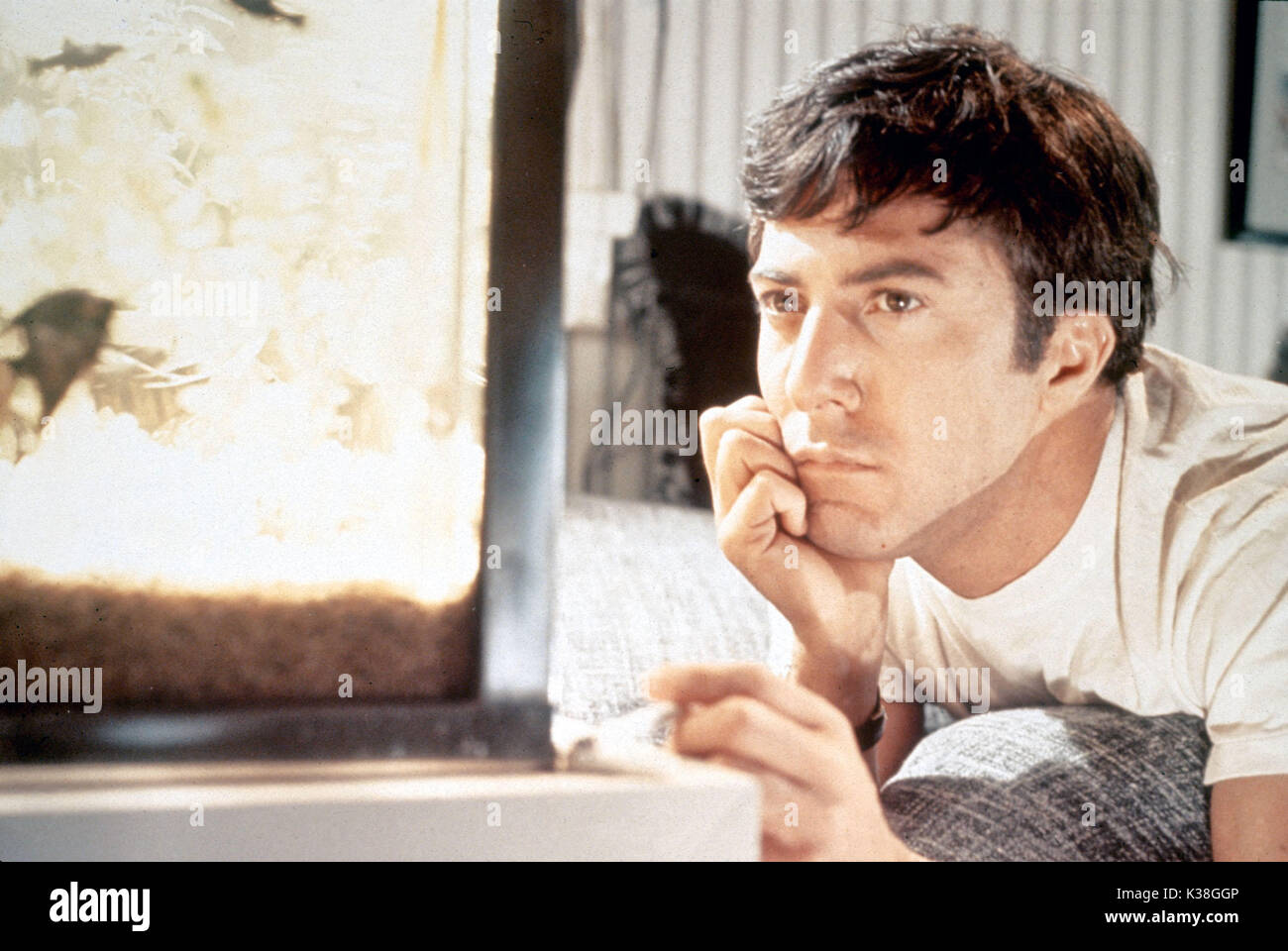 The Graduate Dustin Hoffman