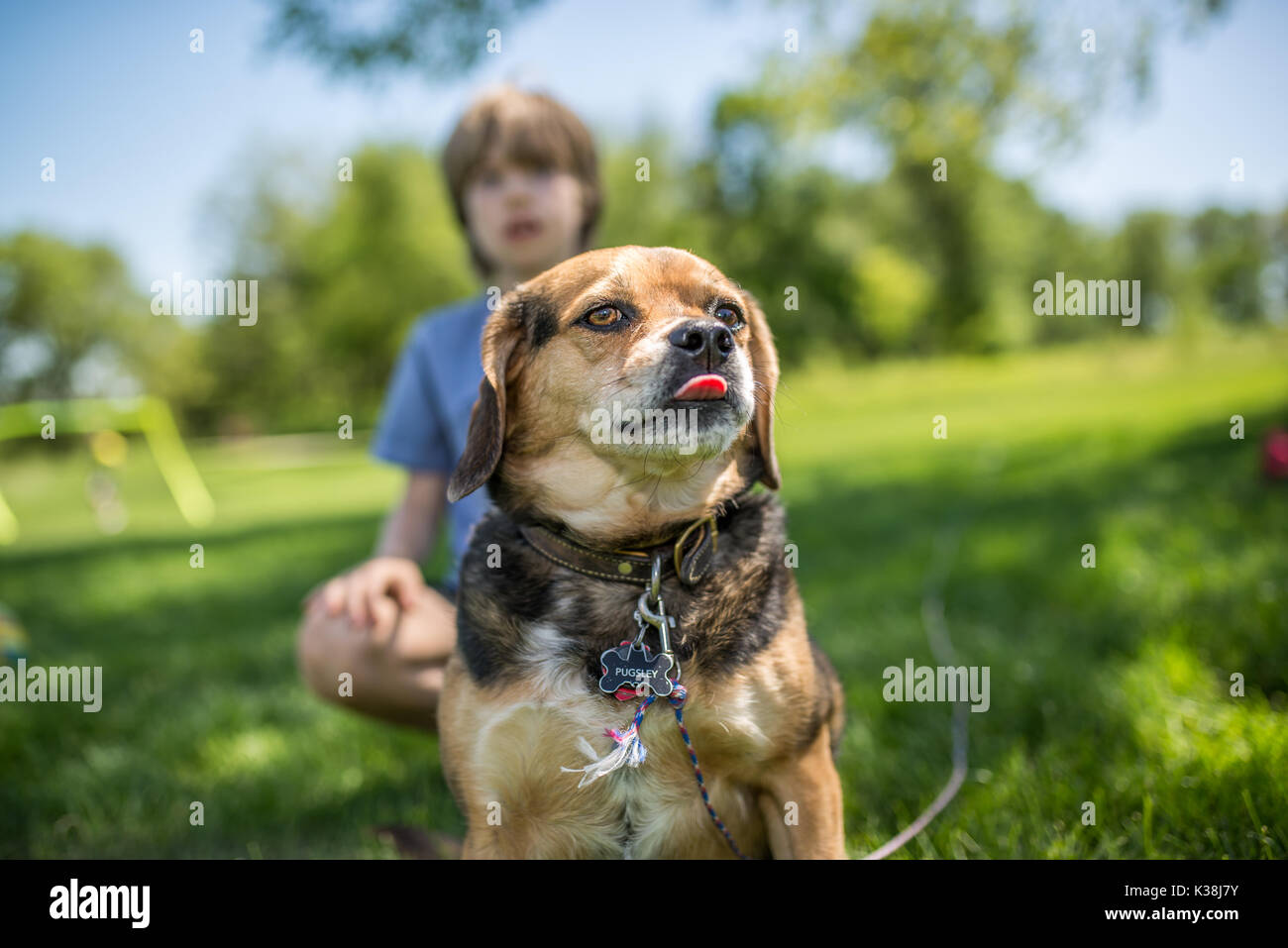 Boy and his dog Stock Photo
