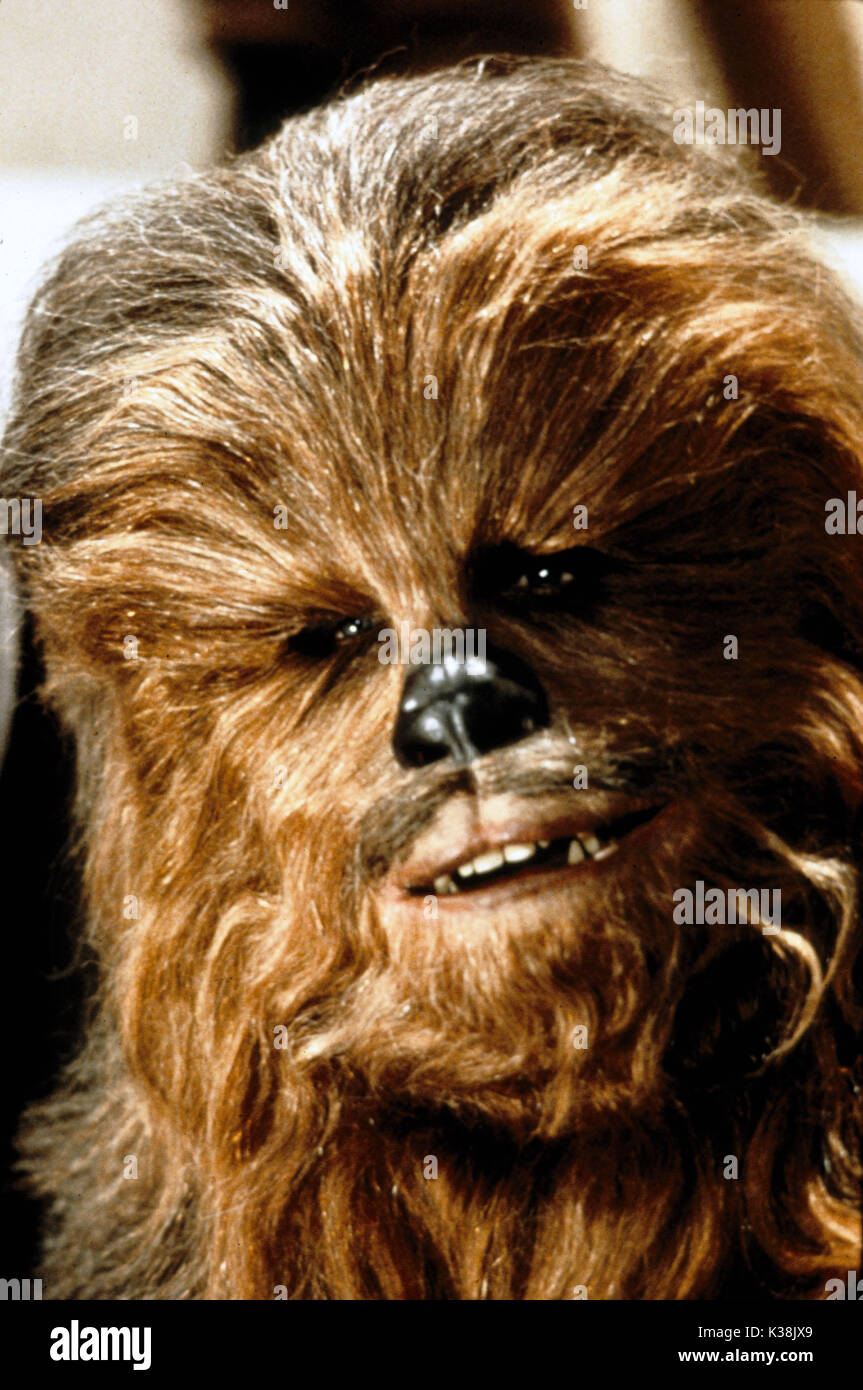 STAR WARS: EPISODE V - THE EMPIRE STRIKES BACK [US 1980] 'Chewbacca' performed by PETER MAYHEW STAR WARS: EPISODE V - THE EMPIRE STRIKES BACK     Date: 1980 Stock Photo