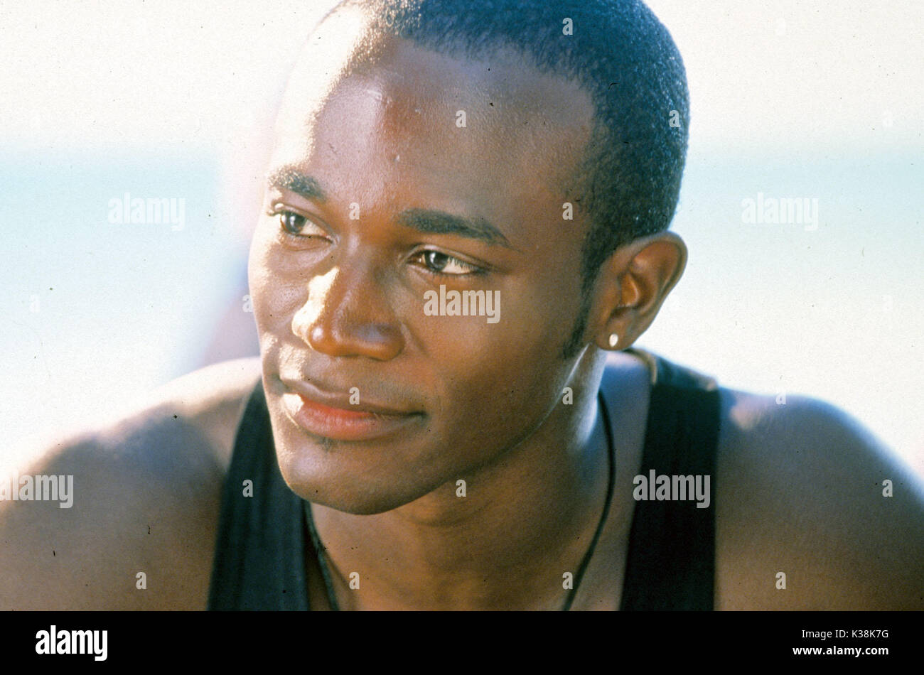 HOW STELLA GOT HER GROOVE BACK TAYE DIGGS     Date: 1998 Stock Photo