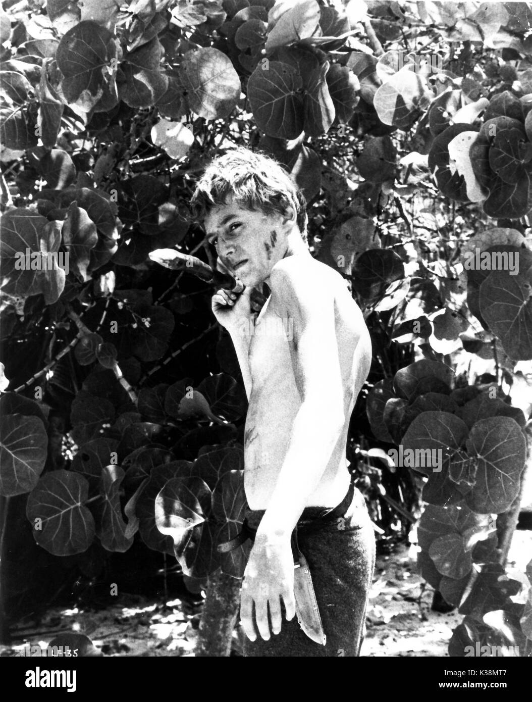 Lord of the flies film hires stock photography and images Alamy