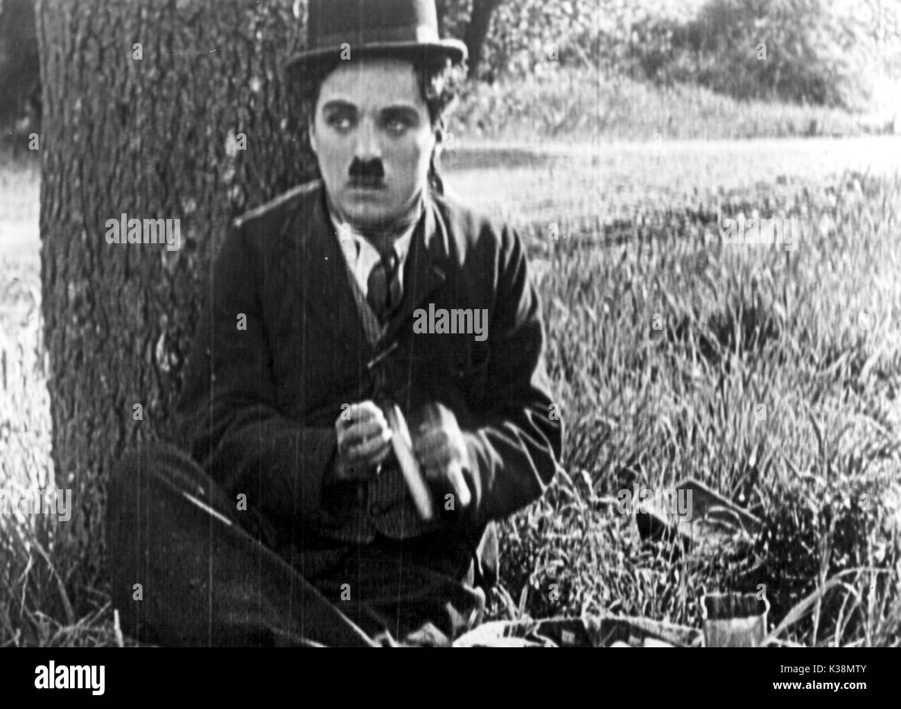 THE TRAMP CHARLIE CHAPLIN Stock Photo Alamy