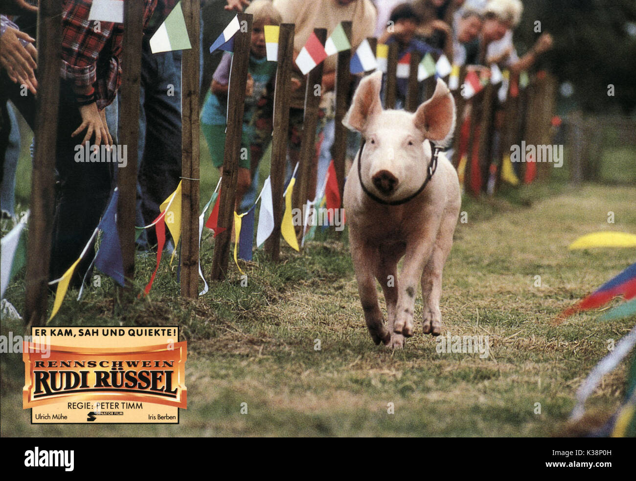 RENNSCHWEIN RUDI RUSSEL aka RUDI THE RACING PIG     Date: 1995 Stock Photo