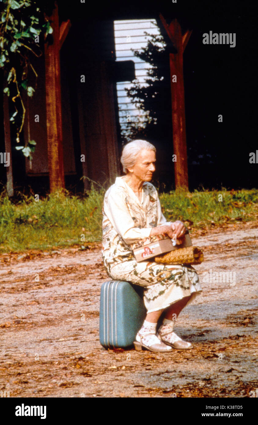 FRIED GREEN TOMATOES aka FRIED GREEN TOMATOES AT THE WHISTLE STOP CAFE JESSICA TANDY     Date: 1991 Stock Photo