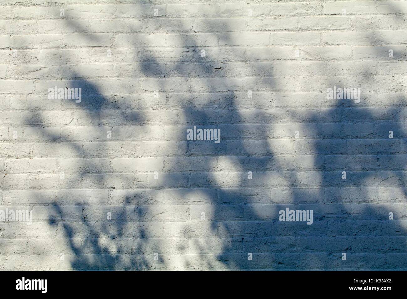 Old white brick wall with dappled shadows Stock Photo