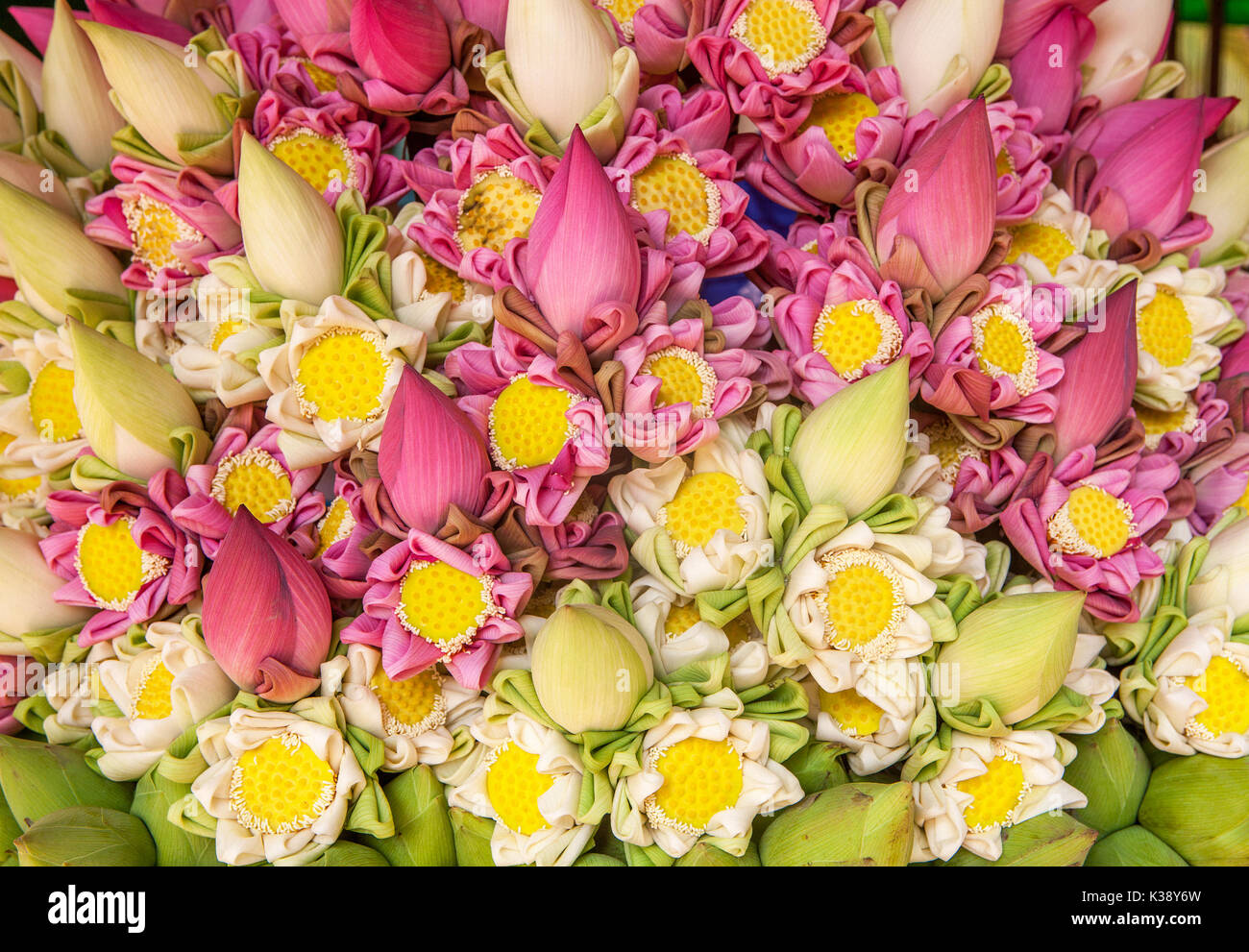 Close-up of a beautiful flower arrangement made of pink and white banana flower blossoms and seed heads for sale in Siem Reap, Cambodia. Stock Photo