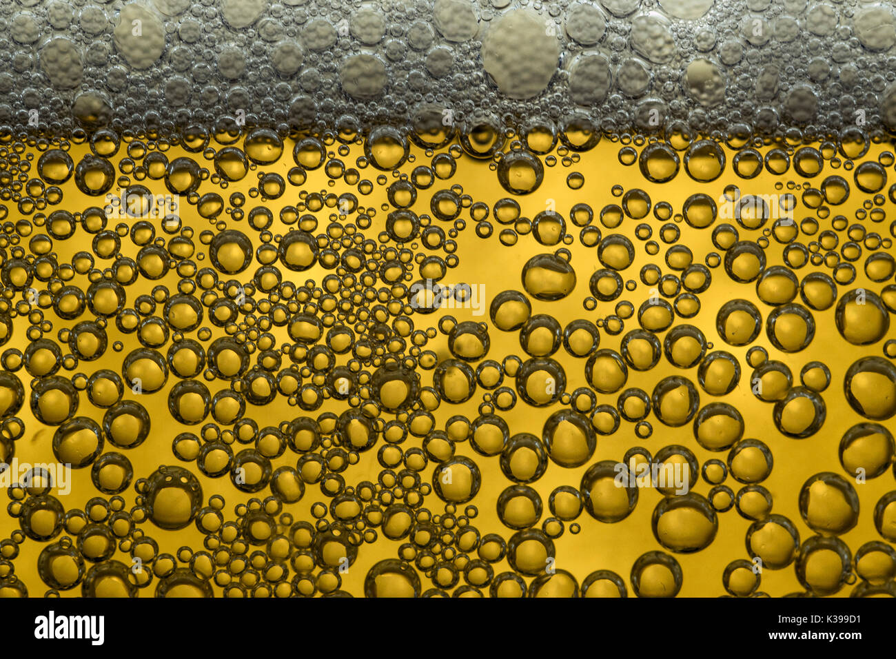 Yellow cold beer bubbles and foam closeup macro, backlit Stock Photo