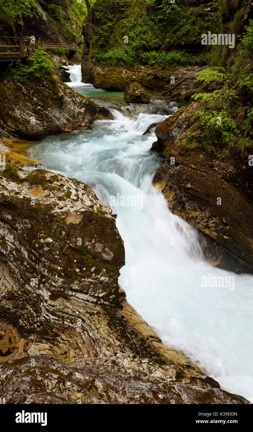 Wood walkway over turquoise waterfalls and rapids on Radovna river Vintgar Gorge forest with sedimentary limestone rock layers Slovenia Stock Photo