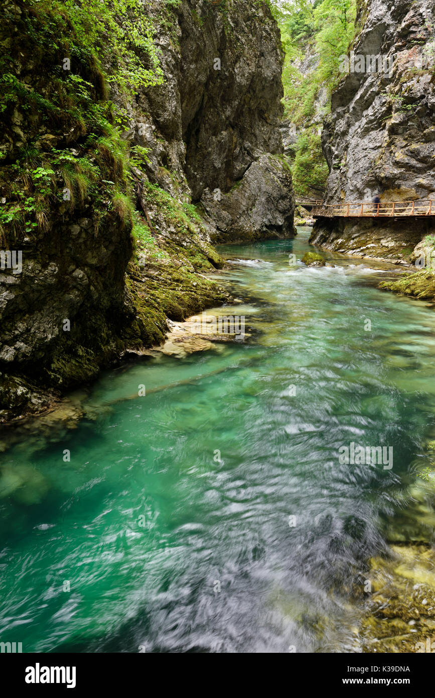 Wood walkway along clear emerald green water of Radovna river at steep narrow Vintgar Gorge Gorenjska region Slovenia Stock Photo