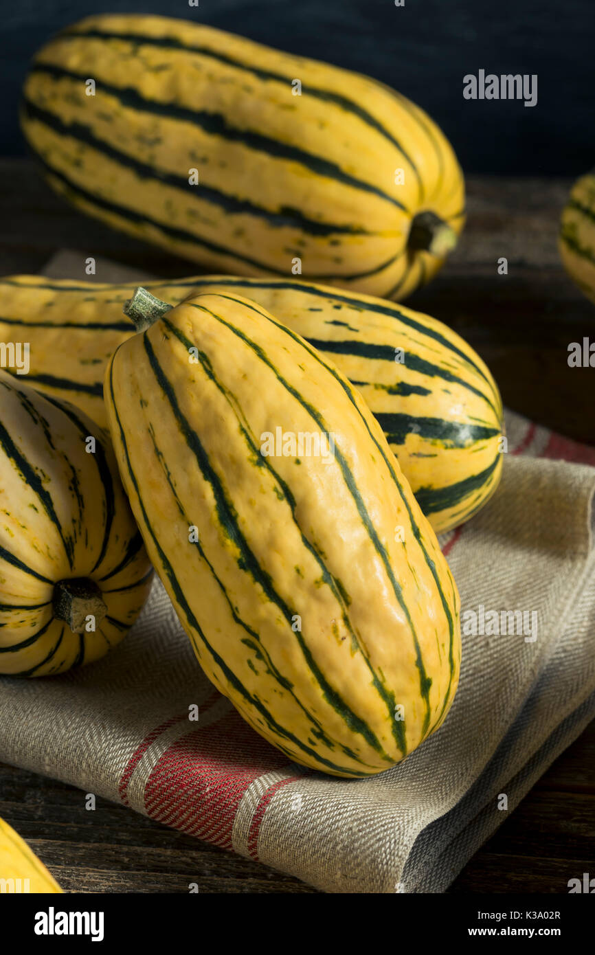 Raw Organic Delicata Squash Ready to Cook With Stock Photo Alamy