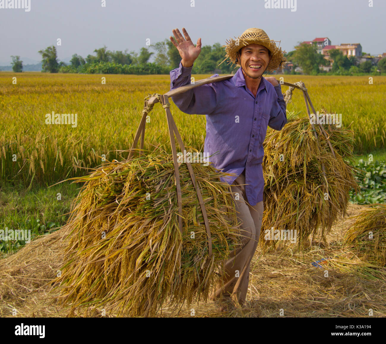 Vietnamese farmer hi-res stock photography and images - Alamy