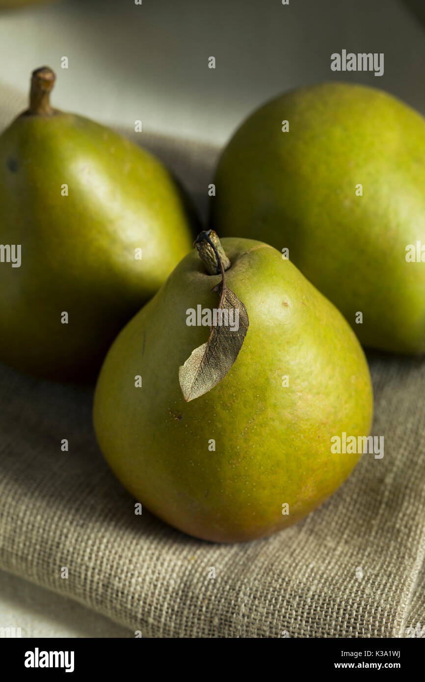 Raw Green Organic Seckel Pears Ready to Eat Stock Photo - Alamy