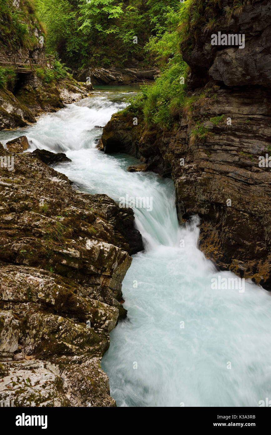 Wood walkway over turquoise water of rapids on Radovna river Vintgar Gorge forest with sedimentary limestone rock layers Slovenia Stock Photo