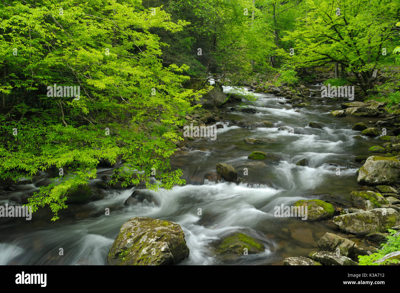 Cascades in the middle prong of the Little Pigeon River in Tremont of Great Smoky Mountains National Park, Tennessee, USA in mid May. Stock Photo