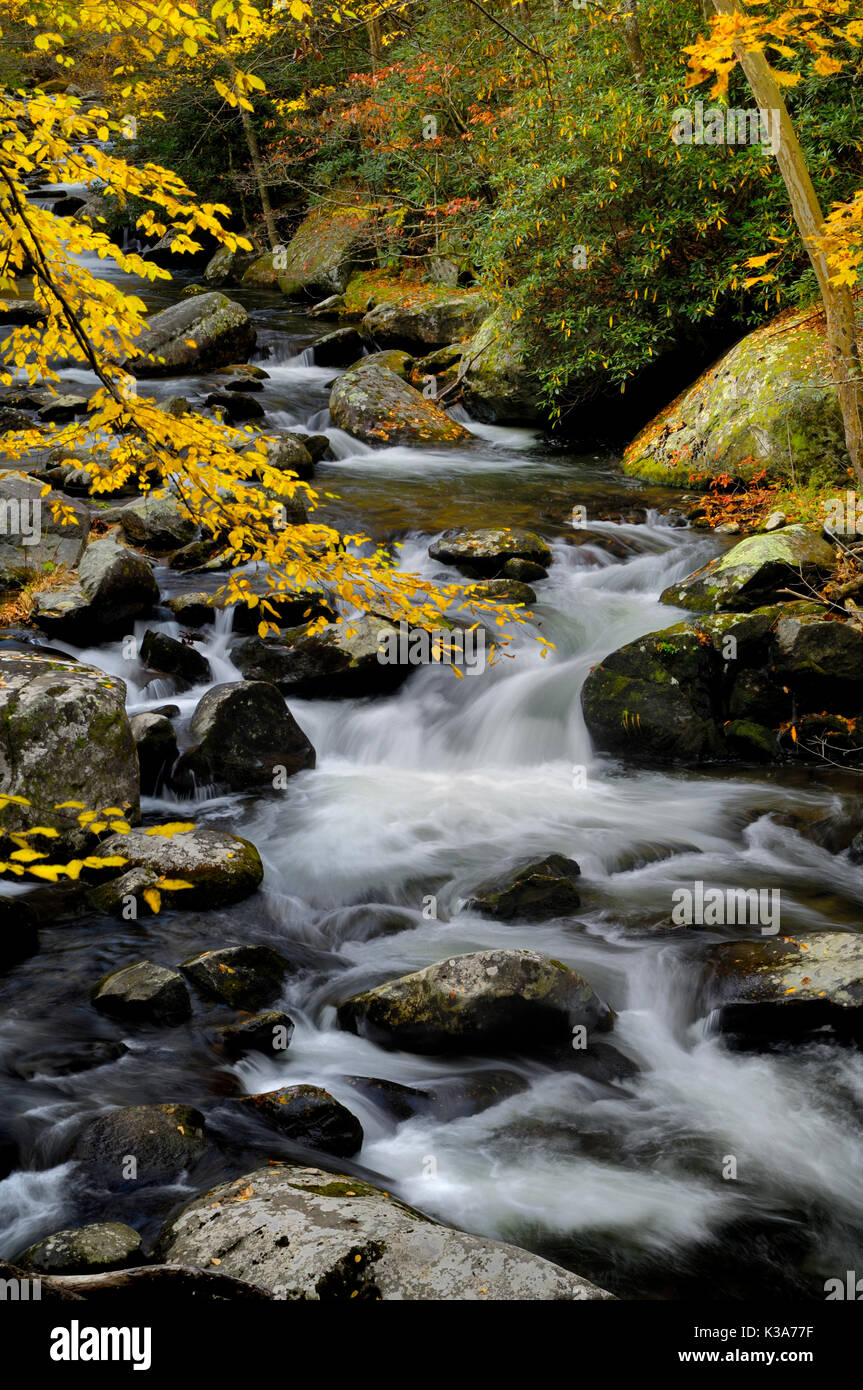 The middle prong of the Little Pigeon River in Tremont of Great Smoky Mountains National Park in autumn of the year. Stock Photo