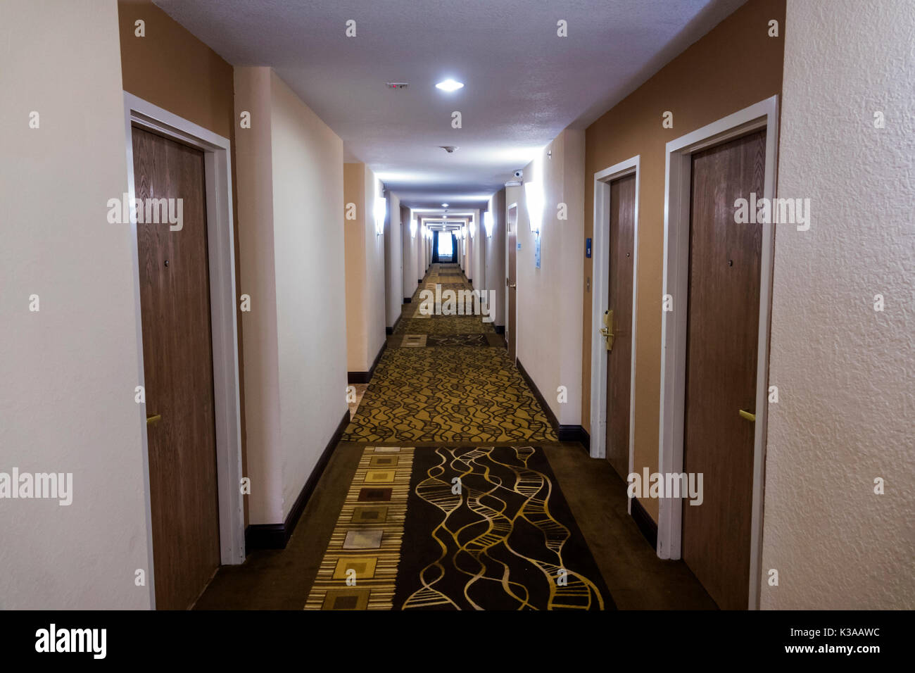 Florida,Palm Coast,Holiday Inn Express,hotel hotels lodging inn motel motels,guest rooms,hallway,hall,doors,visitors travel traveling tour tourist tou Stock Photo