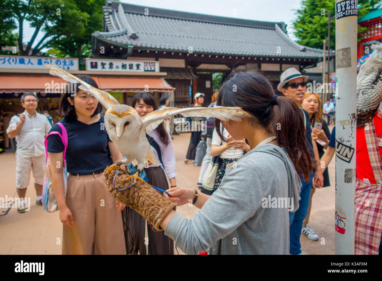 TOKYO, JAPAN JUNE 28 2017 Beautiful owl posing over a woman wrist in