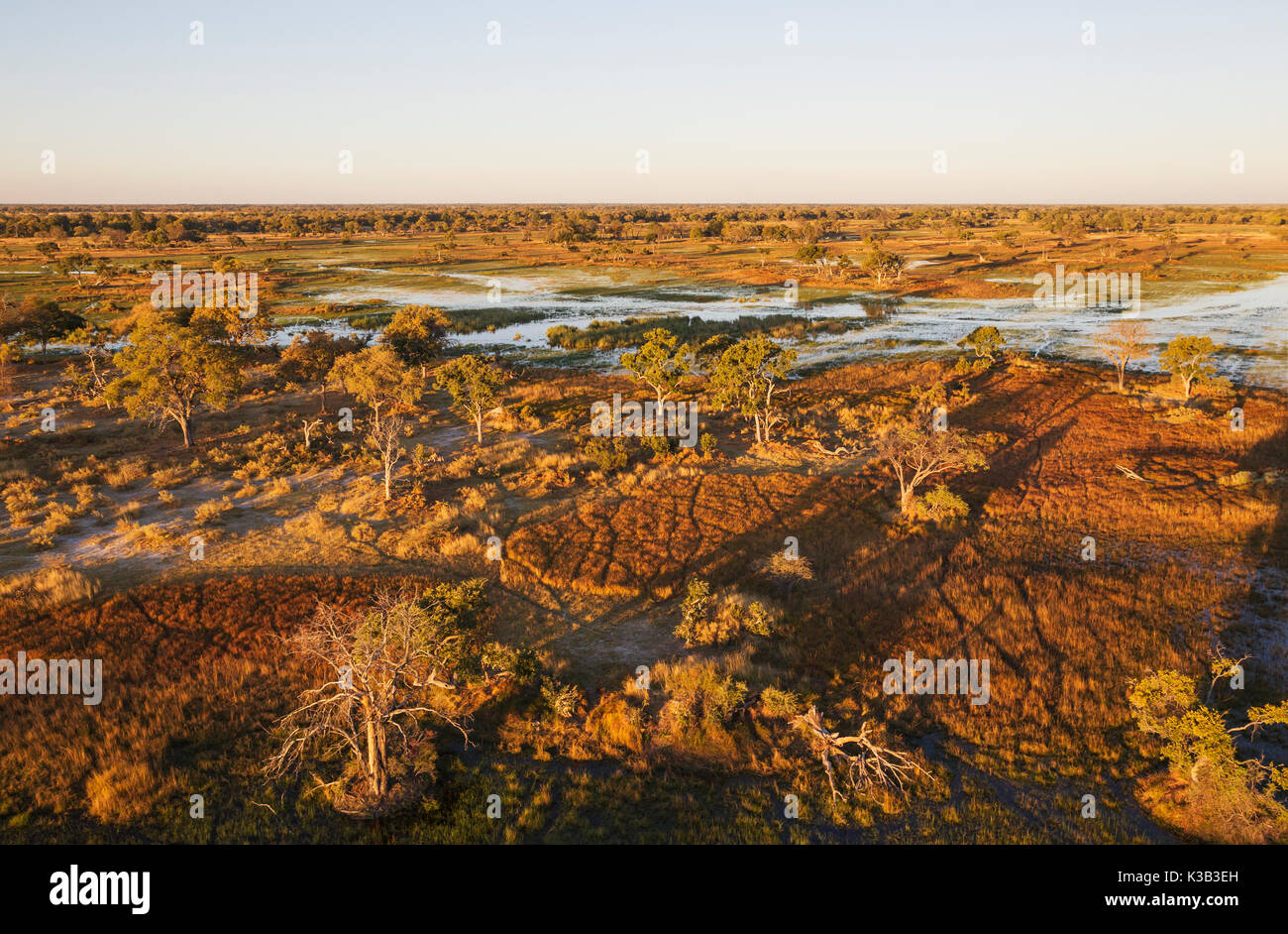 Freshwater marshes with streams, channels and islands, in the late evening, aerial view, Okavango Delta, Moremi Game Reserve Stock Photo