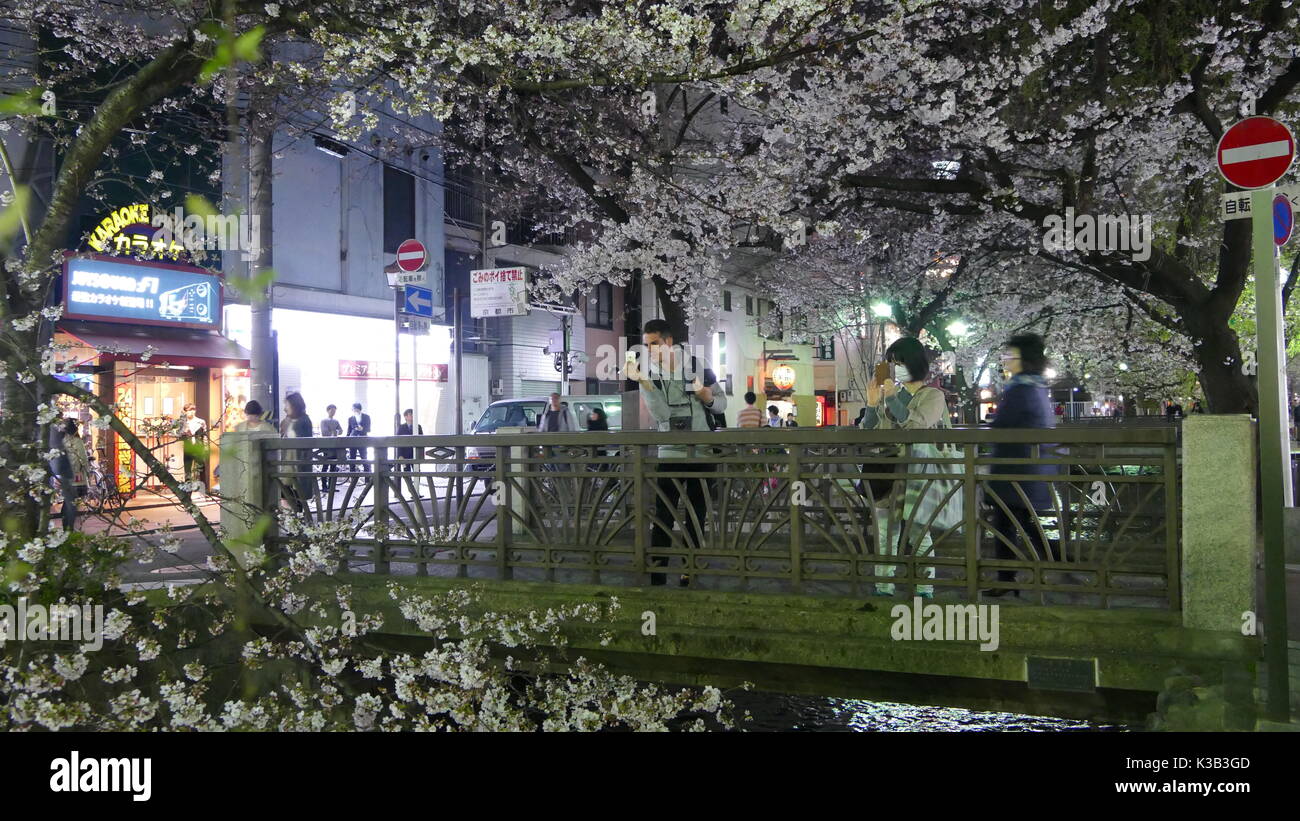 Kyoto, Jpana - March 28, 2015: beautiful sakura season in Kyoto city stree view with nice bridge for background Stock Photo