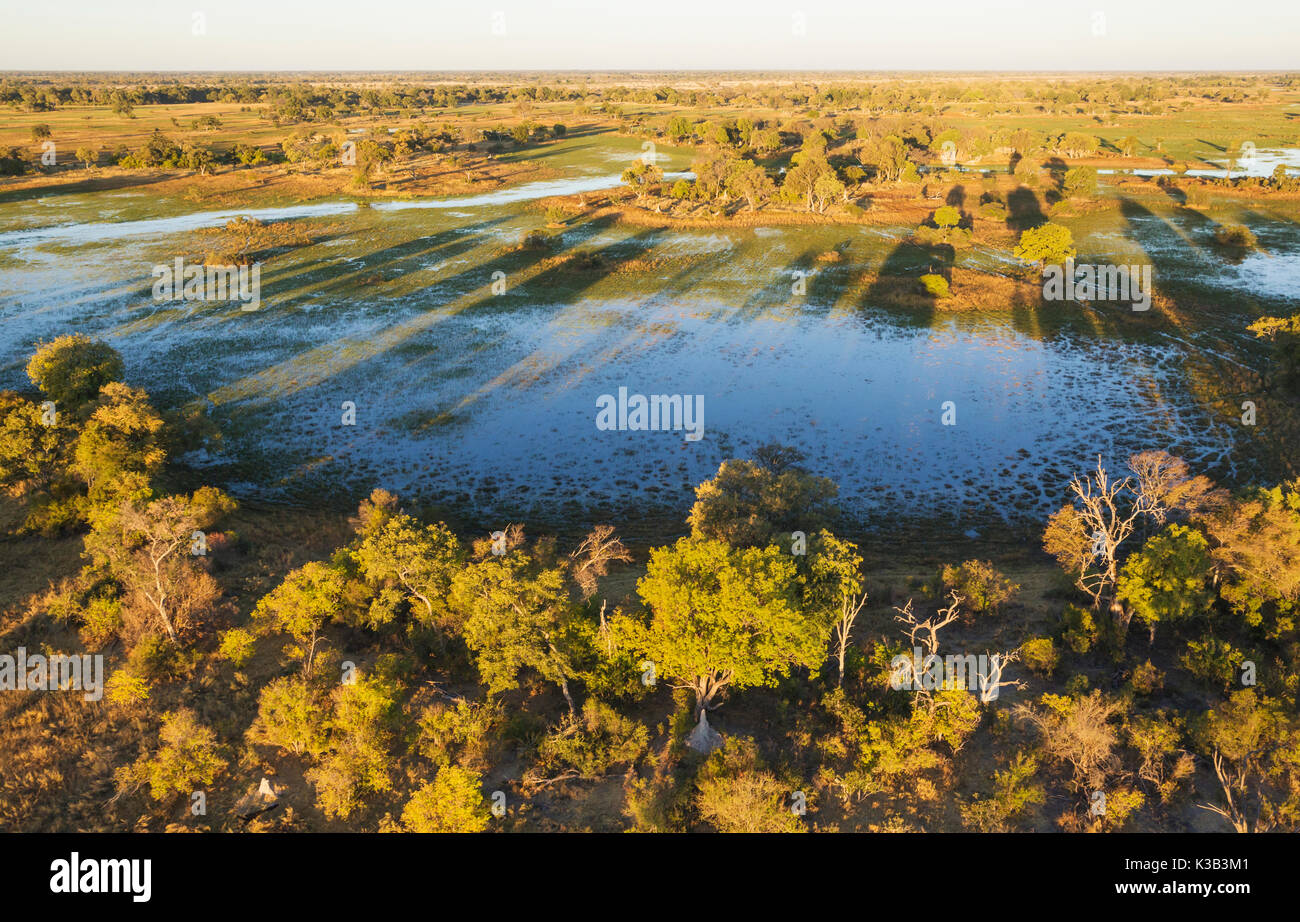 Freshwater marshes with streams, channels and islands, in the late evening, aerial view, Okavango Delta, Moremi Game Reserve Stock Photo