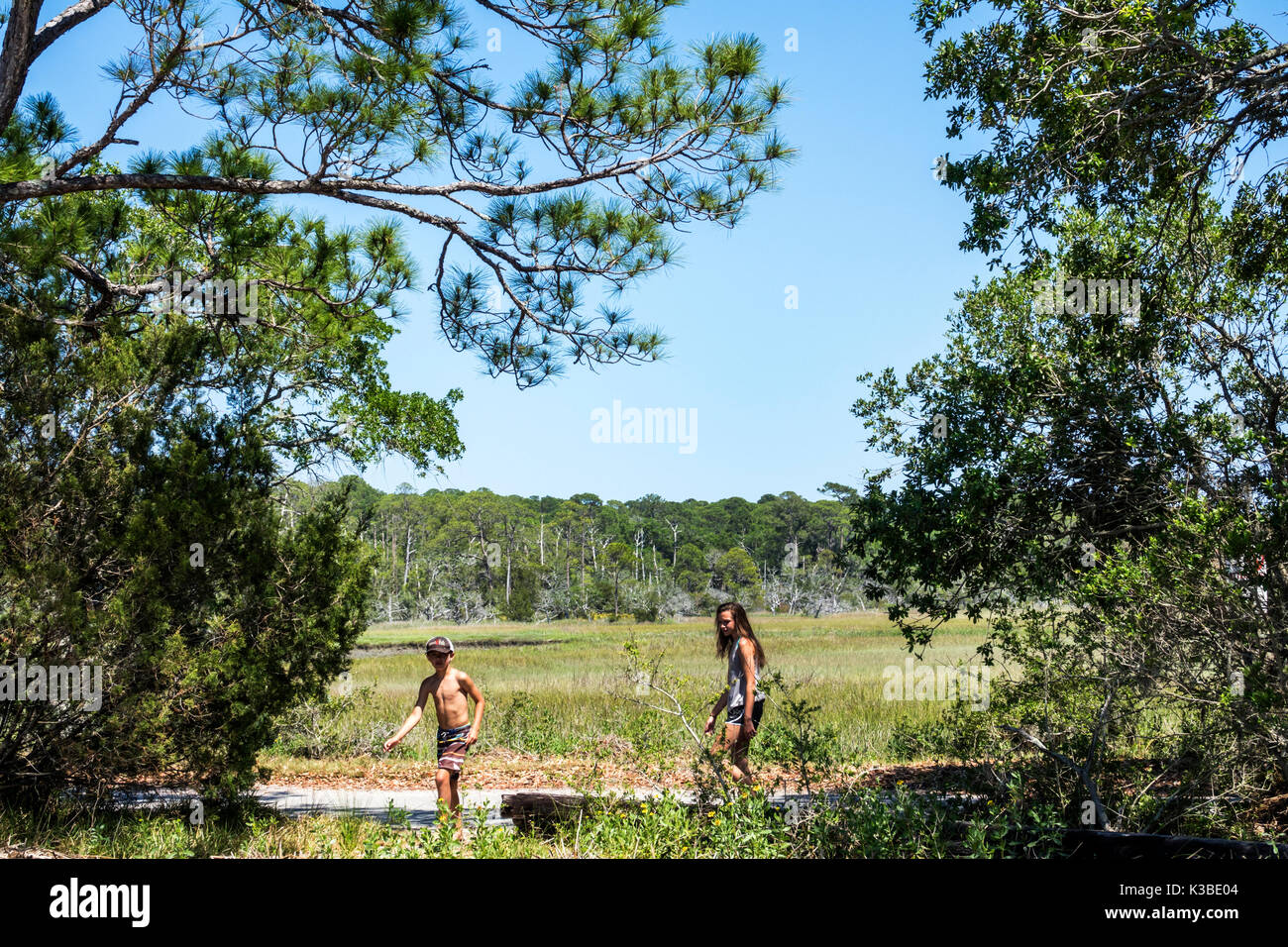 Georgia,Jekyll Island,barrier island,pathway,trail,Clam Creek water Picnic Area,girl girls,female kid kids child children youngster youngsters youth y Stock Photo