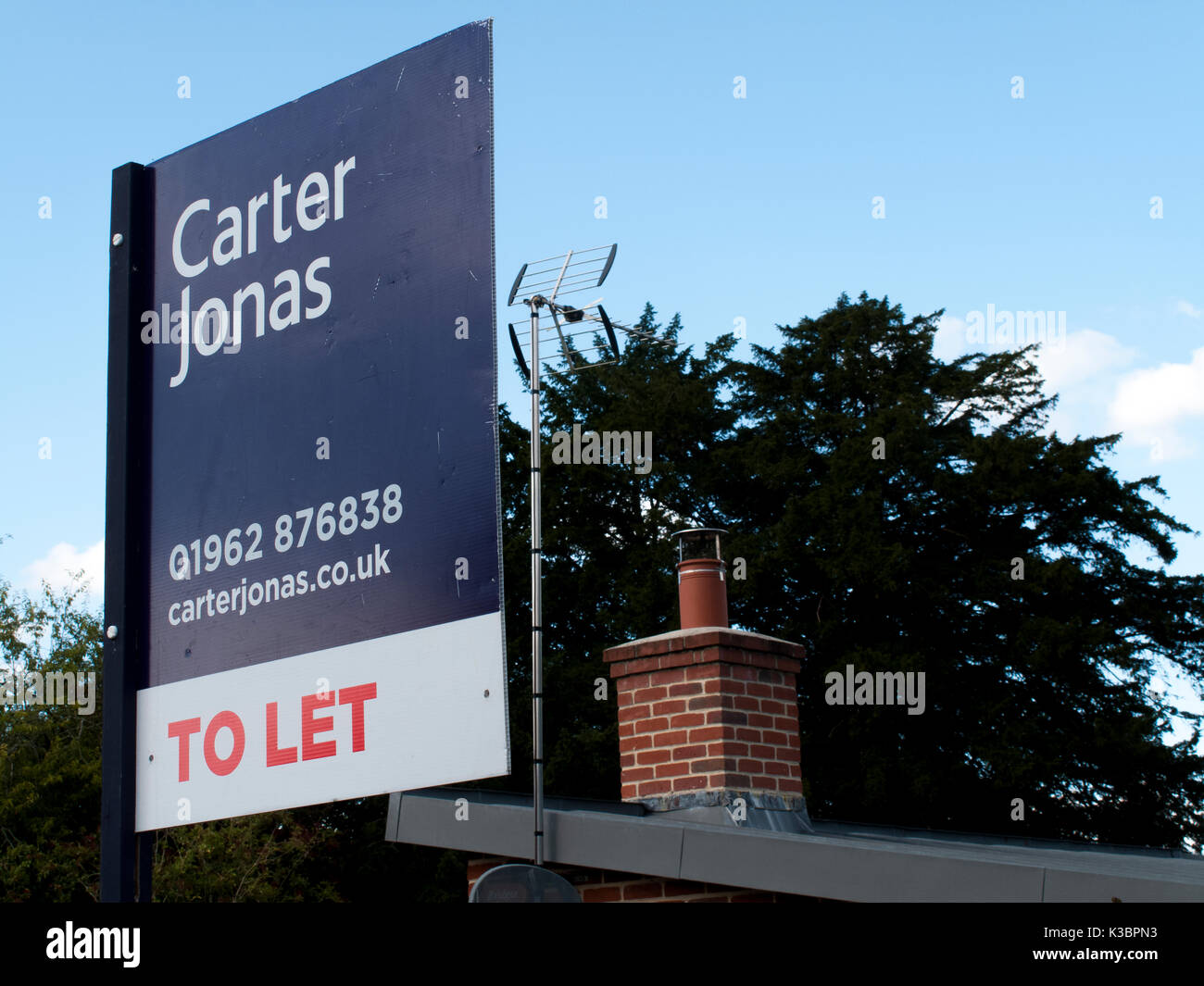 Carter Jonas's Instagram, Twitter & Facebook on IDCrawl