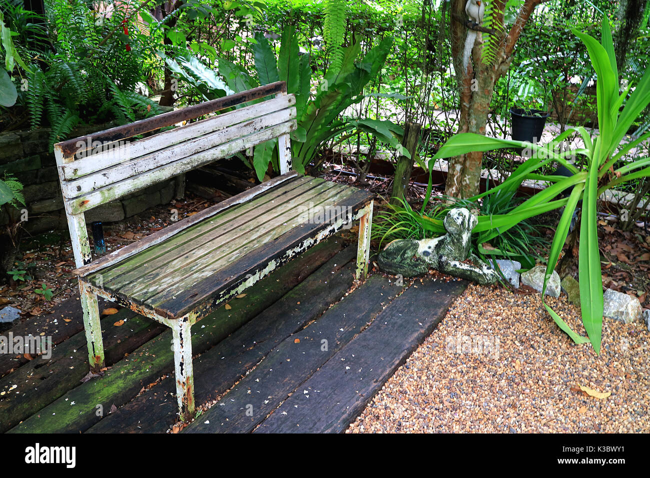 Empty botanic park summer sunny hi-res stock photography and images - Alamy