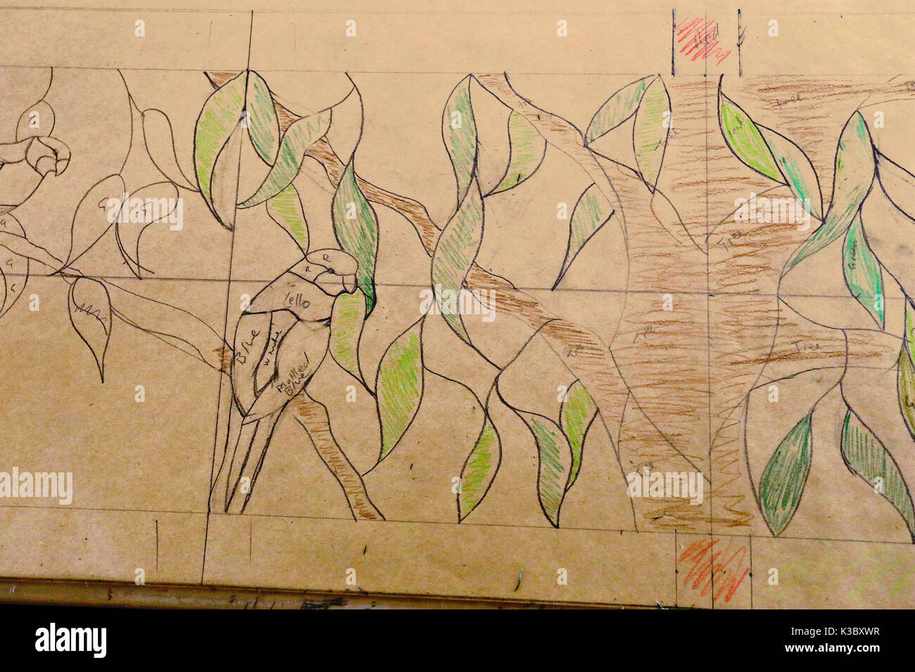 Rosella and gumleaf pattern for a Stained Glass Window, designed by