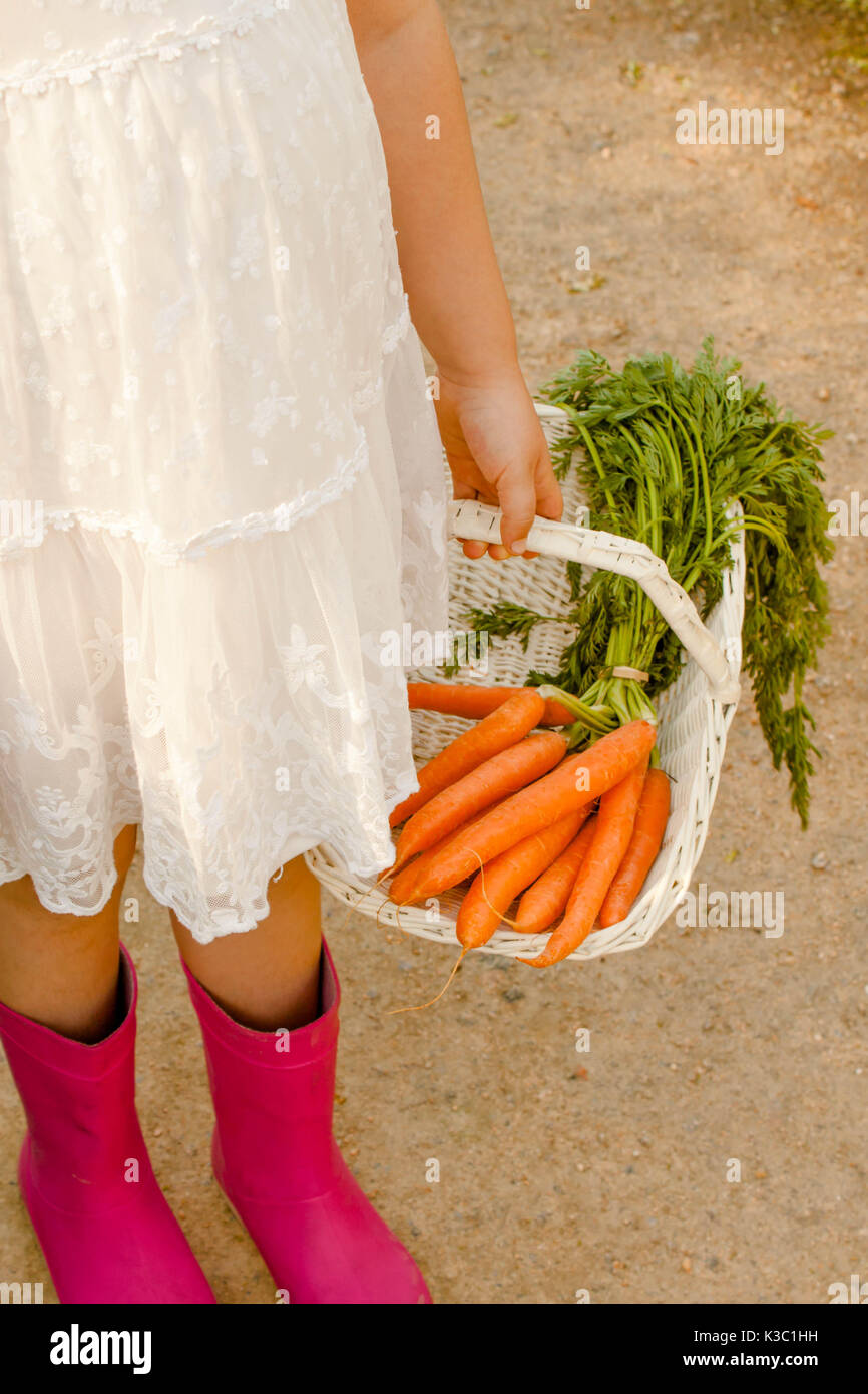 Girl with white dress and gardening pink boots carring a bunch of carrots in a white basket Stock Photo
