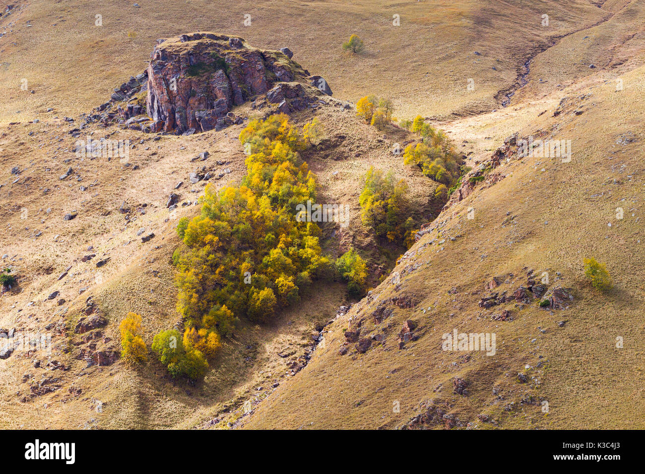 Autumn mountain landscape: hill slopes covered by dry plants and trees with yellow and green foliage and rocks. Stock Photo